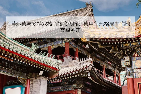 mo-er-de-yu-duo-te-shuang-he-xin-zhuan-hui-chuan-wen-de-jia-zheng-guan-ge-ju-mian-lin-di-zhen-ji-chong-ji-2-111.jpg