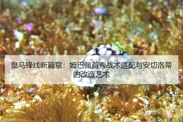 huang-ma-feng-xian-xin-pian-zhang-mu-ba-pei-shou-xiu-zhan-shu-shi-pei-yu-an-qie-luo-di-de-gai-zao-yi-shu-3-403.jpg