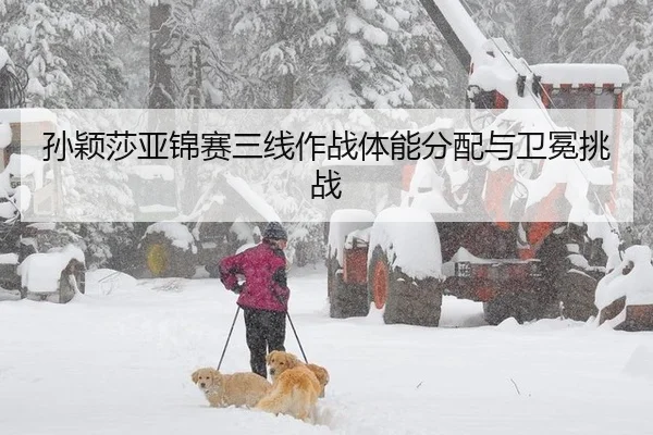 孙颖莎亚锦赛三线作战体能分配与卫冕挑战