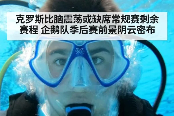 克罗斯比脑震荡或缺席常规赛剩余赛程 企鹅队季后赛前景阴云密布